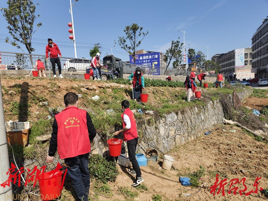 邵东:三兴社区开展河道清理整治活动_邵阳头条网